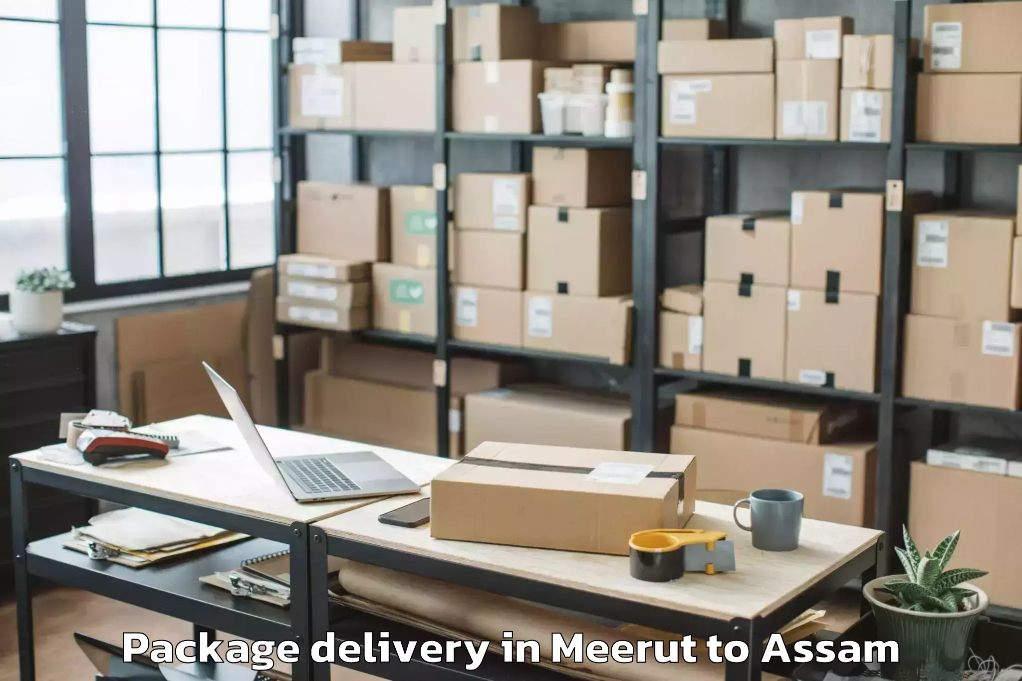 Efficient Meerut to Jonai Package Delivery